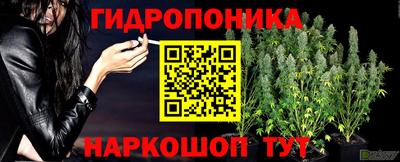 эйфоретик Жуковский