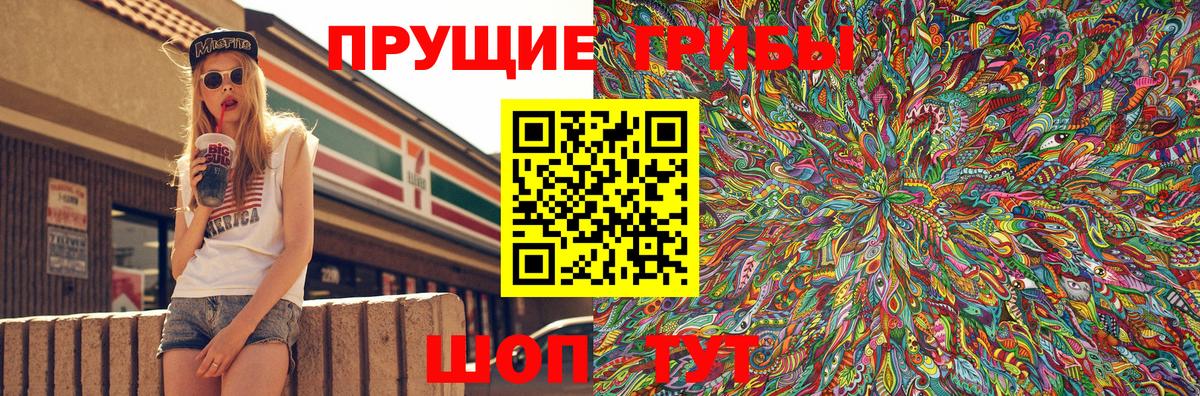 Галлюциногенные грибы Psilocybine cubensis  Вход с VPN  Светлоград 